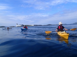 Kayakers, Sound of Luing